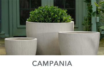 Campania International, Inc.